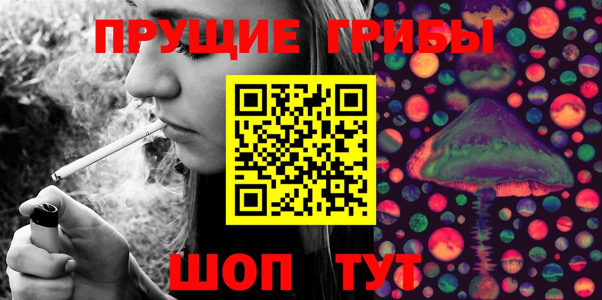 Псилоцибиновые грибы мицелий Брянск