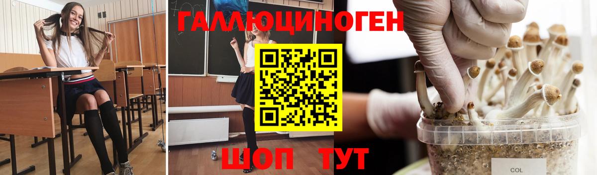 как найти   Вход с VPN  Брянск  Псилоцибиновые грибы Cubensis 