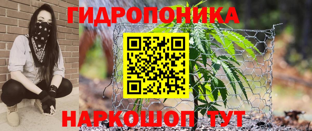 МАРИХУАНА ГИДРОПОН Брянск